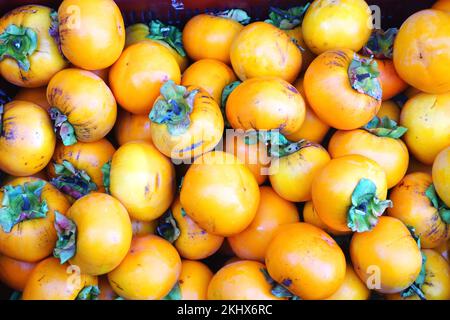 Dettaglio in primo piano di un mucchio di persimmoni gialli freschi maturi con steli verdi in vendita presso uno stallo del mercato stradale nel Bhutan rurale. Foto Stock