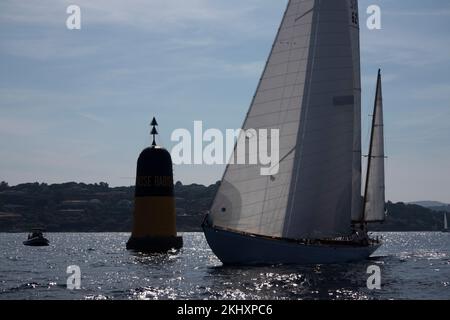 Barche a vela che regano per Voiles de Saint-Tropez, in Costa Azzurra, Francia, Europa. Foto Stock
