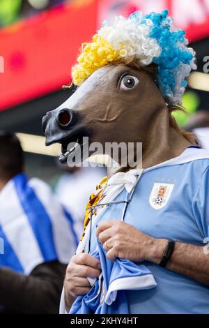 Doha, Qatar. 24th Nov 2022. Folle durante la partita tra Uruguay e Corea del Sud, valida per il primo round della fase di gruppo della Coppa del mondo, che si tiene presso l'Education City Stadium di Doha, Qatar. Credit: Marcelo Machado de Melo/FotoArena/Alamy Live News Foto Stock