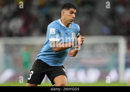 Rayan, Qatar. 23rd Nov 2022. Luis Suarez dell'Uruguay durante la partita di Coppa del mondo del Qatar 2022, gruppo H, data 1, tra l'Uruguay e la Repubblica di Corea ha giocato allo stadio Education City il 24 novembre 2022 a Rayan, Qatar. (Foto di Bagu Blanco/PRESSINPHOTO) Credit: PRESSINPHOTO SPORTS AGENCY/Alamy Live News Foto Stock