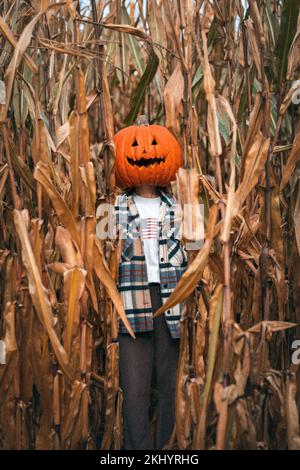 Una vista verticale di persona in un campo di mais con una zucca di desiderio sulla loro testa Foto Stock