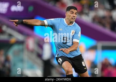 Rayan, Qatar. 23rd Nov 2022. Luis Suarez dell'Uruguay durante la partita di Coppa del mondo del Qatar 2022, gruppo H, data 1, tra l'Uruguay e la Repubblica di Corea ha giocato allo stadio Education City il 24 novembre 2022 a Rayan, Qatar. (Foto di Bagu Blanco/PRESSINPHOTO) Credit: PRESSINPHOTO SPORTS AGENCY/Alamy Live News Foto Stock