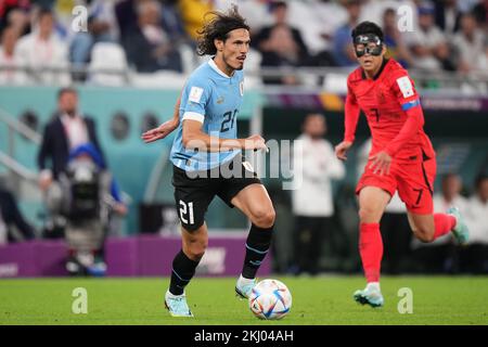 Rayan, Qatar. 23rd Nov 2022. Edinson Cavani dell'Uruguay durante la partita di Coppa del mondo del Qatar 2022, gruppo H, data 1, tra l'Uruguay e la Repubblica di Corea ha giocato al Education City Stadium il 24 novembre 2022 a Rayan, Qatar. (Foto di Bagu Blanco/PRESSINPHOTO) Credit: PRESSINPHOTO SPORTS AGENCY/Alamy Live News Foto Stock