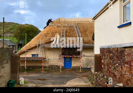 Thatcher al lavoro su un tetto di un cottage in Hope Cove, South Devon, Inghilterra Foto Stock