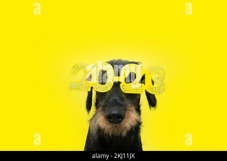 Divertente cane che festeggia il nuovo anno 2023 con costume segno. Isolato su sfondo giallo Foto Stock