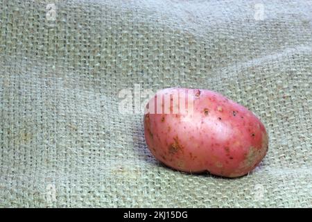 una patata rossa cruda su uno sfondo hessiano. Foto Stock