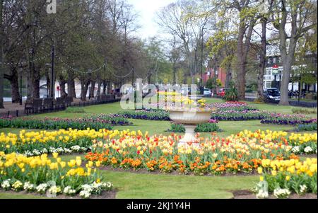 Aiuole di fiori lungo l'argine del fiume a Bedford, Regno Unito. Foto Stock