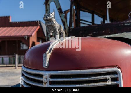 Berks County, Pennsylvania-22 novembre 2022: Vecchio ornamento cofano camion Mack su vecchio arrugginito camion Bus Foto Stock