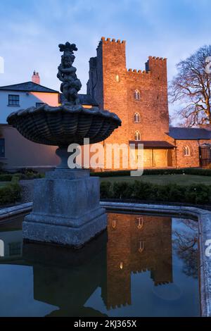 Irlanda, Contea di Kildare, Straffan, Castello di Barberstown, esterno Foto Stock