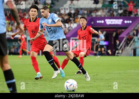 Federico Valverde dell'Uruguay, Hwang in-Beom della Corea del Sud (L) durante la Coppa del mondo FIFA 2022, la partita di calcio del Gruppo H tra l'Uruguay e la Repubblica di Corea il 24 novembre 2022 presso l'Education City Stadium di Doha, Qatar - Foto Jean Catuffe / DPPI Foto Stock