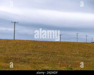 Linee elettriche in un campo, cielo. Paesaggio minimalistico, paletto elettrico su prato sotto il cielo nuvoloso bianco. Foto Stock