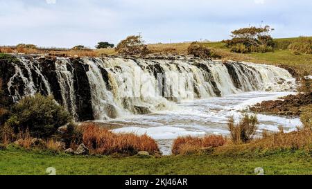 Le cascate di Hopkins intorno alla natura verde a Cudgee, Victoria Foto Stock