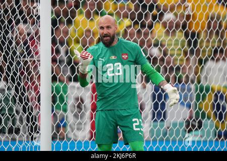 Vanja Milinkovic-Savic di Serbia durante la partita della Coppa del mondo FIFA Qatar 2022, Gruppo G, tra Brasile e Serbia ha giocato al Lusail Stadium il 24 novembre 2022 a Lusail, Qatar. (Foto di Bagu Blanco / PRESSIN) Credit: PRESSINPHOTO AGENZIA SPORTIVA/Alamy Live News Foto Stock