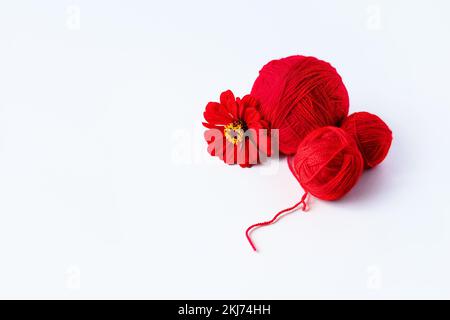 Una palla rossa di filo e un fiore di tsinia su uno sfondo verde per lavorare a maglia rosso caldo cose Foto Stock