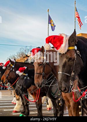 Detroit, Michigan, Stati Uniti. 24th Nov 2022. Cavalli della polizia di Detroit che indossano cappelli di Santa nella sfilata del giorno del Ringraziamento di Detroit, ufficialmente la sfilata americana del Ringraziamento. Credit: Jim West/Alamy Live News Foto Stock