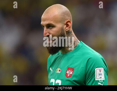 Doha, Qatar, 24th novembre 2022. Vanja Milinkovic-Savic di Serbia durante la partita della Coppa del mondo FIFA 2022 al Lusail Stadium, Doha. Il credito per le immagini dovrebbe essere: David Klein / Sportimage Credit: Sportimage/Alamy Live News Foto Stock