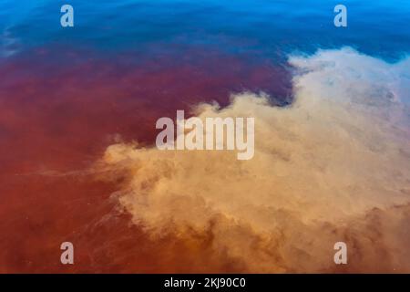 Emissioni tossiche caustiche nello stagno, punti luminosi di contrasto sull'acqua. La diffusione di veleno nell'ecosistema. Il concetto di inquinamento della vita Foto Stock