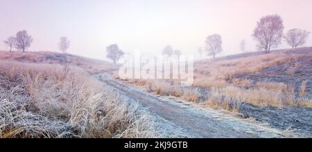 Una forte gelata con la nebbia e la nebbia a metà inverno Cannock Chase Country Park AONB (area di straordinaria bellezza naturale) in Inghilterra Staffordshire REGNO UNITO Foto Stock