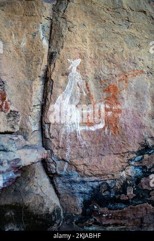 Vista verticale del cacciatore in procinto di colpire il canguro con una lancia, presso il sito d'arte di Anbangbang nel sito di Nourlangie Rock, Kakadu, territorio del Nord, Foto Stock
