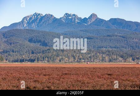 Valle d'autunno e paesaggio montano. Magnifico e colorato giorno autunnale a BC Canada. Foto di viaggio, nessuno, concetto di un attivo ed eco-turismo Foto Stock