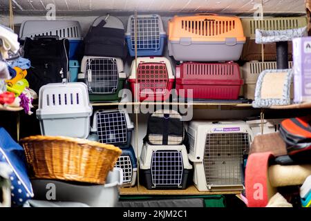 Brema, Germania. 18th Nov 2022. Numerose donazioni in natura, che sono date dal Tiertafel ai proprietari bisognosi di animali domestici, sono immagazzinate in una stanza del Tiertafel. Il numero di proprietari di animali domestici bisognosi e la necessità di alimenti per animali domestici e donazioni in natura sono aumentati notevolmente quest'anno. (A dpa: 'Aumento della domanda a Tiertafeln in bassa Sassonia e Brema') Credit: Hauke-Christian Dittrich/dpa/Alamy Live News Foto Stock