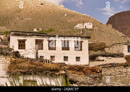 Tradizionali case di fango, pietra, legno e paglia delle fredde regioni desertiche di montagna di Ladakh e Zanskar Foto Stock