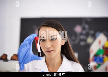 I segreti della genetica nel sangue. una scienziata femminile che tiene un campione di sangue. Foto Stock