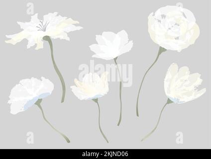 Set di fiori acquerelli isolati su sfondo bianco. Illustrazione vettoriale. Illustrazione Vettoriale