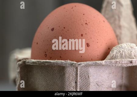 Foto macro di un singolo uovo macinato Foto Stock