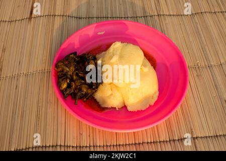 Stufato di ratto con ugali, un piatto esotico ma gustoso Foto Stock
