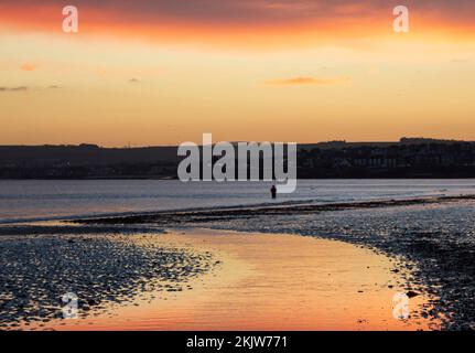 Portobello, Edimburgo, Scozia, Regno Unito. 25th novembre 2022. Condizioni fresche all'alba per coloro che parlano esercizio sul Firth of Forth con temperatura di 6 gradi e una brezza nippy. Nella foto: Una pagaia maschio sulla riva del Firth of Forth. Credit: Arch White/alamy live news. Foto Stock