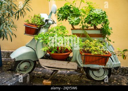 Parcheggio scooter Vespa classico vicino ad un albero e con un cesto di fiori, Napoli, Italia Foto Stock