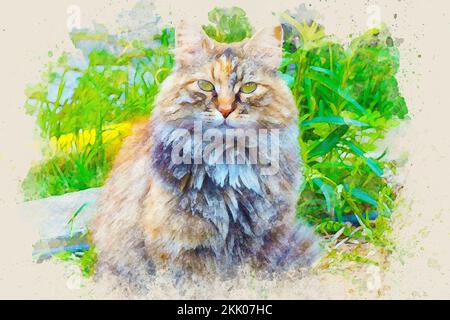 Acquerello pittura effetto schizzo di un ritratto britannico Longhair Cat in natura. Foto Stock