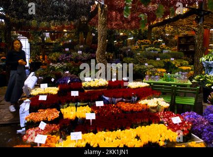 Amsterdam Holland Bloemenmarkt - l'unico mercato galleggiante dei fiori al mondo sul canale Singel Foto Stock