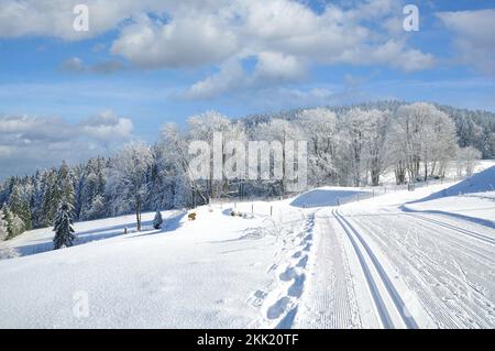Paesaggio innevato con pista da sci di fondo nella Foresta Bavarese, Baviera, Germania Foto Stock
