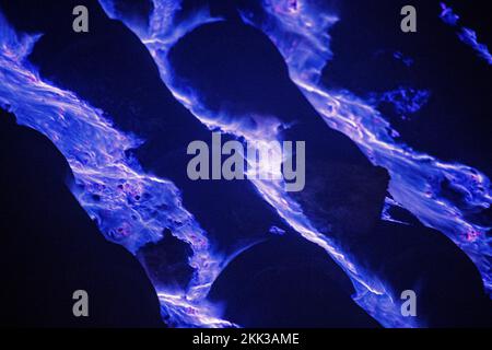 Il famoso fuoco blu sul Monte Ijen, Giava orientale, Indonesia Foto Stock