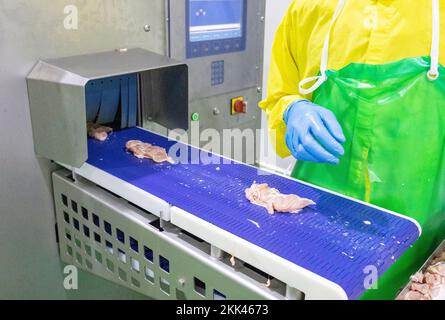 Il lavoratore posiziona la carne di pollo sul nastro trasportatore fino al metal detector machine nella fabbrica di pollame. Foto Stock