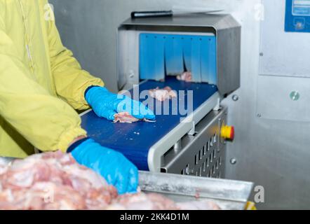 Consegnare i guanti blu per caricare la carne di pollo sul nastro trasportatore alla macchina tagliatrice automatica nella linea di produzione. Foto Stock