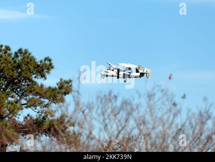 Northrop Grumman e-2 Hawkeye che fa pratica di atterraggio del vettore di campo della marina, all'impianto di volo di Wallops, isola di Wallops, Virginia, Foto Stock