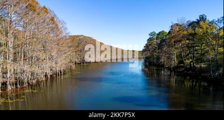 Big Cypress Bayou River al lago Caddo - vista aerea - fotografia di viaggio dall'alto Foto Stock