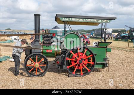 Tarrant Hinton.Dorset.United Kingdom.August 25th 2022.A replica di un motore di trazione Wallis e Steevens costruito nel 1980s è alla guida di un mac di trebbiatura Foto Stock