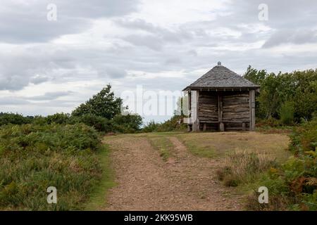 La capanna Jubilee si affaccia su Horner Woods nel Parco Nazionale di Exmoor Foto Stock