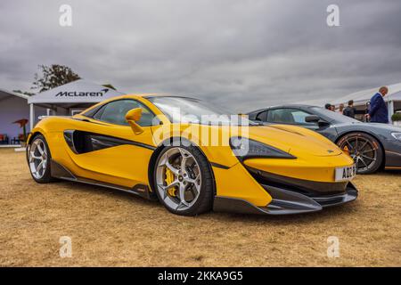 2019 McLaren 600LT ‘ADZ 89’ in mostra al Concours d’Elégance Motor Show tenutosi a Blenheim Palace il 4th settembre 2022 Foto Stock