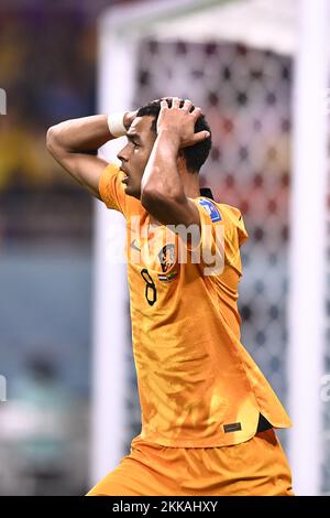 Foto Fabio Ferrari/LaPresse 25 Novembre 2022 Doha Khalifa Stadium, Qatar - Sport - Calcio - Qatar 2022 - Coppa del mondo FIFA - Olana vs Ecuador - Gruppo A - Fase a Gironi - nella foto: Teun Koopmeiners 25 novembre 2022 Doha Khalifa Stadium, Qatar - sport - Calcio - Qatar 2022- Coppa del mondo FIFA - Paesi Bassi vs Ecuador - Gruppo A - fase di gruppo - nel pic: Teun Koopmeiners Foto Stock