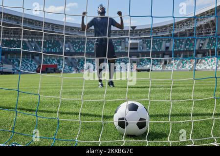 il giocatore di calcio calcia la palla nel gol dello stadio Foto Stock