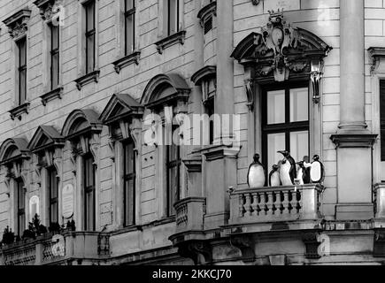 VIENNA, AUSTRIA - 16 FEB 2019: pupazzi di pinguini in un vecchio balcone si affacciano sulla strada di Vienna. Foto Stock