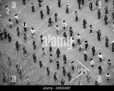 SHANGHAI - 29 MARZO 2011: La gente esegue Taiji Quan la mattina a Shanghai, Cina. Shadow boxing è un tradizionale cinese e si accorda con struct Foto Stock