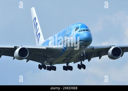 Prefettura di Chiba, Giappone - 05 maggio 2019: Tutti i Nippon Airways (ANA) Airbus A380-800 (JA381A) aereo passeggeri Flying Honu schema. Foto Stock