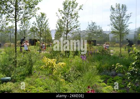 Vista panoramica sul giardino interno della mostra del padiglione polacco dell'Expo Milano 2015 con copia di una statua femminile, alberi e fiori. Foto Stock