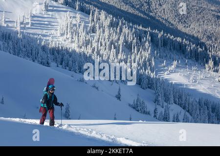 Una donna attiva freerider con escursioni a bordo di una skowboard su un sentiero invernale tra l'abete bianco coperto di neve in un territorio alpino backcountry di montagna Foto Stock